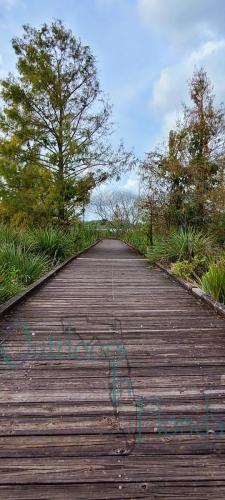 Jiggs-Landing-Outpost-in-Bradinton-Florida-041