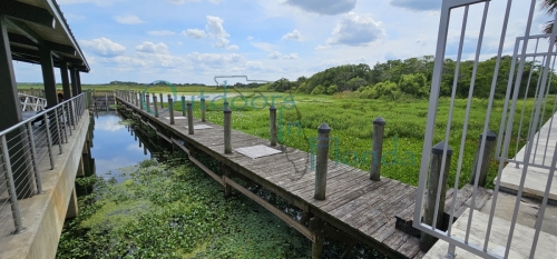 Kissimmee-Lakefront-Park-55